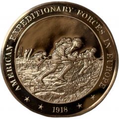 Medal - History of the United States American Expeditionary Forces in Europe