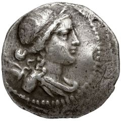 Tetradrachm - Leonippos