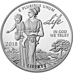 100 Dollars `American Platinum Eagle` Bullion Coinage