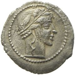 Litra
