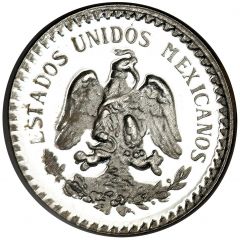 1 Peso Pattern