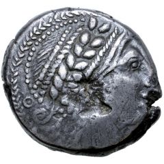 Tetradrachm Congesa Type