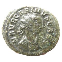 Antoninianus - Carinus as Caesar PIETAS AVGG