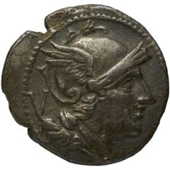 Quinarius Anonymous, ROMA