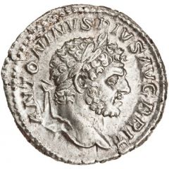 Denarius - Caracalla P M TR P XVI COS IIII P P, Serapis