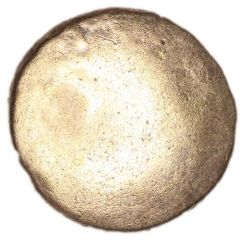 1/4 Stater Double Torc