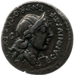 Denarius Annii: Gaius Annius Luscus, C•ANNIVS•T•F•T•N•PRO•COS•EX•S•C / HISP•Q• L•FABI•L•F•