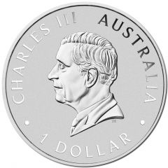 1 Dollar - Charles III 1st Portrait - Australian Kookaburra