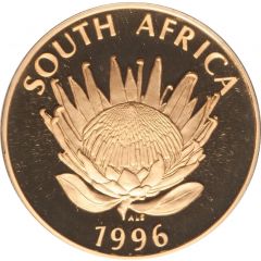 1 Protea South African Constitution