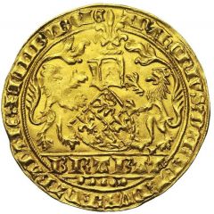 Gold Lion - Anthony