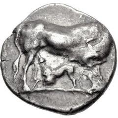 Stater