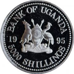 5000 Shillings FAO