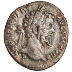 Denarius - Septimius Severus P M TR P V COS II P P, Sol
