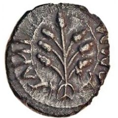 Silver Unit `Cantian N` - Amminus