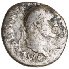 Denarius - Vespasian, Titus, and Domitian CAESAR AVG F COS CAESAR AVG F PR