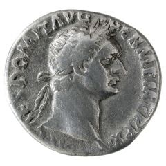 Denarius - Domitian IMP XXI COS XVI CENS P P P, Minerva