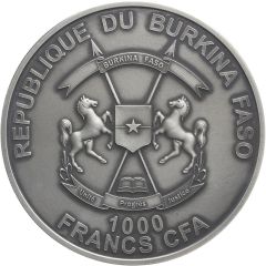 1000 Francs CFA Two Rhinos, straight