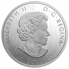 30 Dollars - Elizabeth II Bison