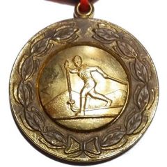 Medal - Skier skates to the left