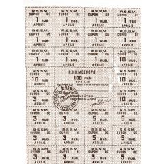 100 Rouble Ministry of Finance - Brown