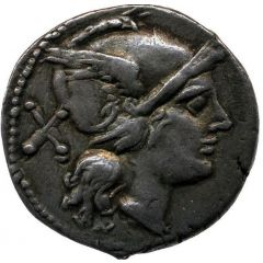 Denarius Apex and Hammer, ROMA