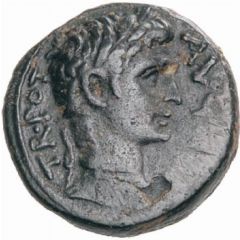 Æ Unit - Augustus SC
