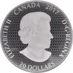 20 Dollars - Elizabeth II Paddle Awaits