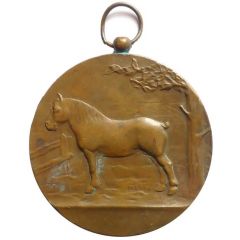 Medal - Poulains et Pouliches de 2 ans Province of liege