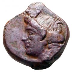 Scythie Olbia