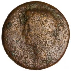 Dupondius - Augustus S C
