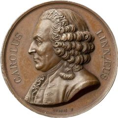 Carl von Linné