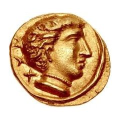 Gold 25 Asses Male head series III