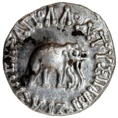 Round Drachm - Apollodotus I