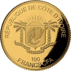 100 Francs CFA Leopard