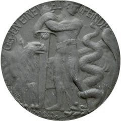 Donation medal - Against a world of enemies Red Cross
