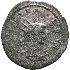 Antoninianus - Gallienus P M TR P XIII C VI P P