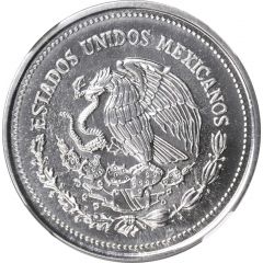 1000 Pesos Pattern, Chromed Steel