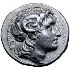 Tetradrachm - Lysimachus Cius