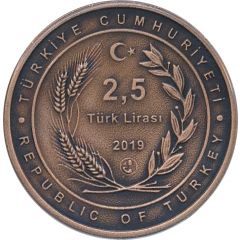 2,5 Lira Akşehir Konya