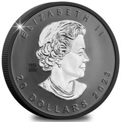20 Dollars In the name of Elizabeth II, Super Incuse Maple Leaf