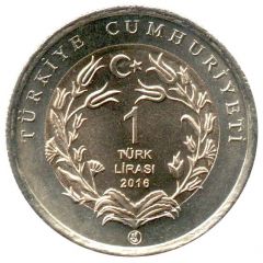 1 Lira Dormouse