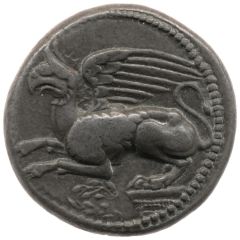 Tetradrachm - Blosys