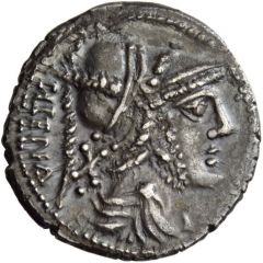 Denarius - The Bellum Sociale Campania