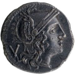 Quinarius Anonymous, ROMA
