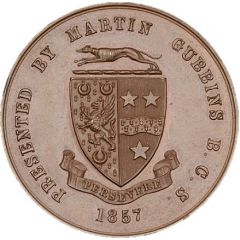 Award - Victoria Gubbins Medal, bronze