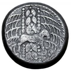 Tetradrachm Svicca Type