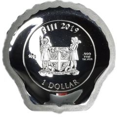 1 Dollar Scallop Shell