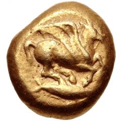 Stater