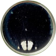 Token - Birth baby Footprints, Dutch - Silver