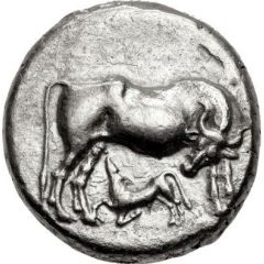 Stater